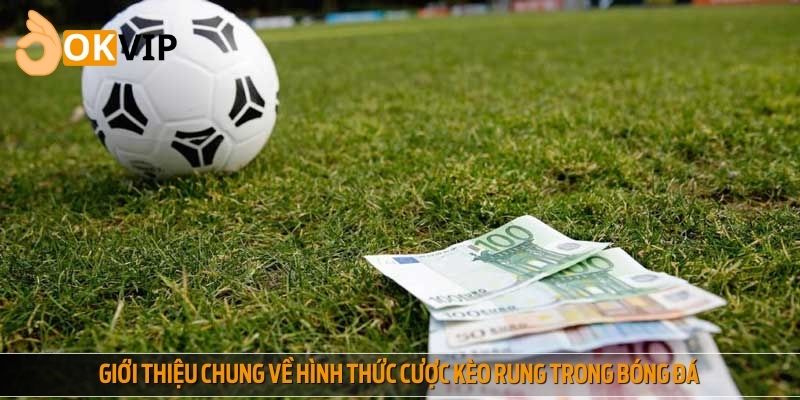 Giới thiệu chung về hình thức cược kèo rung trong bóng đá