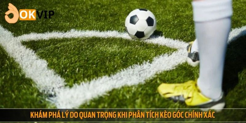 Khám phá lý do quan trọng khi phân tích kèo góc chính xác