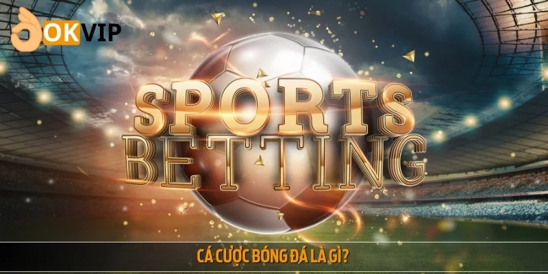 Cá cược bóng đá xu hướng giải trí hot nhất 2025