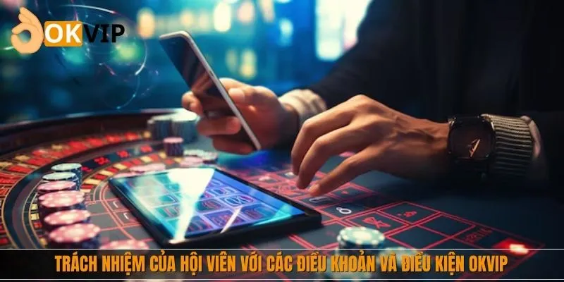 Trách nhiệm của hội viên với các điều khoản và điều kiện OKVIP