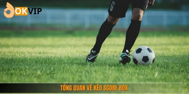 Tổng quan về kèo Score Box