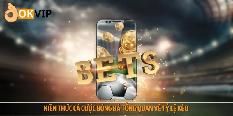 Tổng hợp tỷ lệ kèo phổ biến - Kiến thức cá cược bóng đá cơ bản nhất