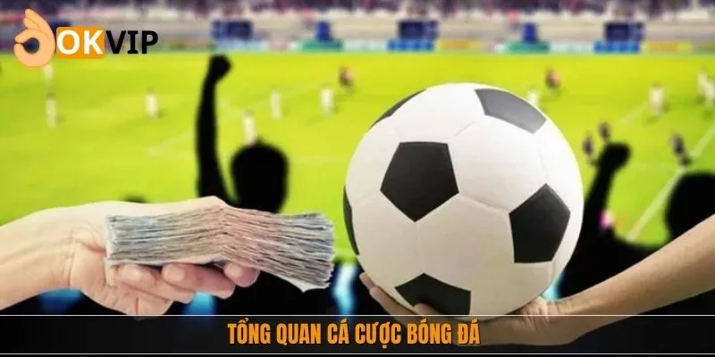 Tổng quan cá cược bóng đá